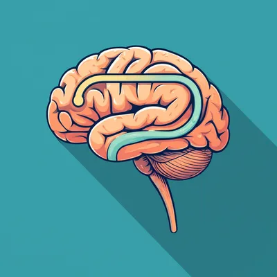 Illustration cerebral - Image 1