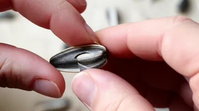 Illustration hull - Image 1