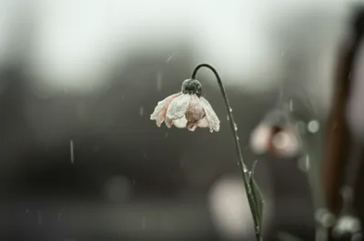 Illustration bum - Image 1