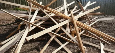 Illustration lumber - Image 1