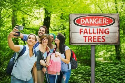 Illustration greenest - Image 1