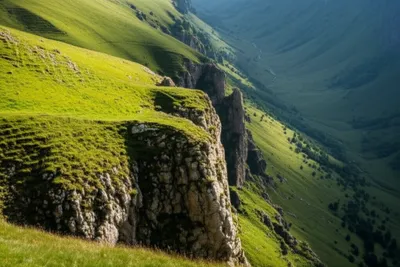 Illustration pitches - Image 1