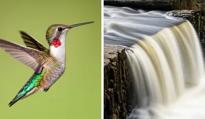 Illustration speeds - Image 1