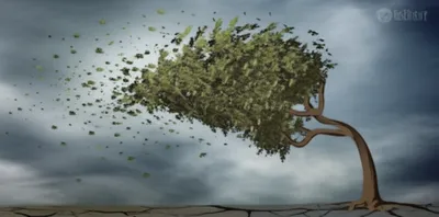 Illustration waved - Image 1