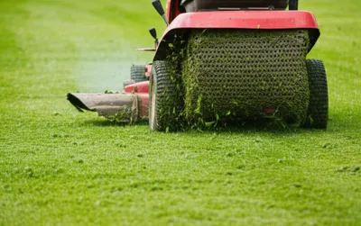 Illustration puttered - Image 1