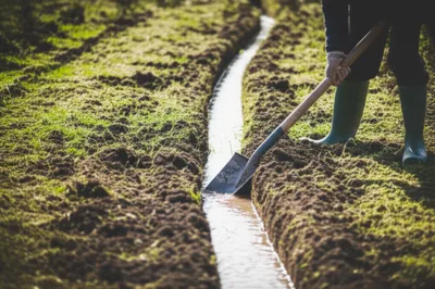 Illustration ditches - Image 1