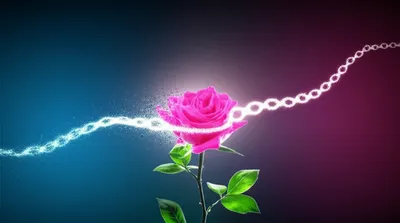 Illustration disenchanted - Image 1