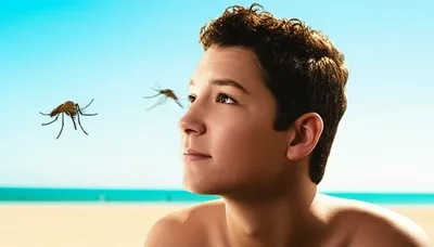 Illustration importune