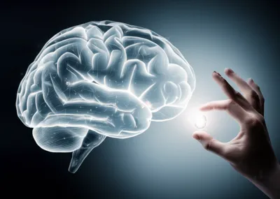 Illustration peek - Image 1