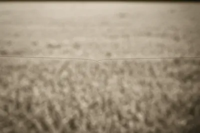 Illustration hairline - Image 1