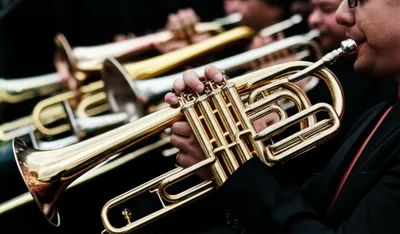 Illustration brass - Image 1