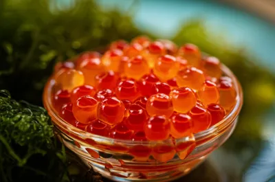 Illustration roe - Image 1