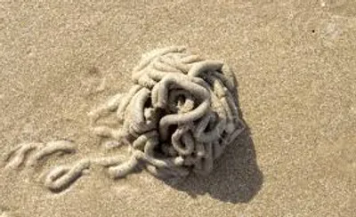 Illustration cast - Image 2