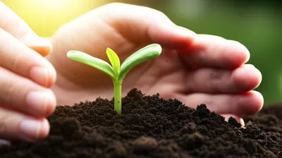 Illustration furthered - Image 1