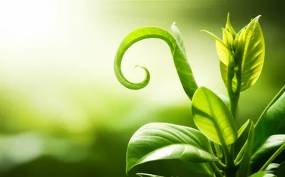 Illustration irritability - Image 1