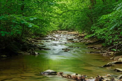 Illustration runners - Image 1