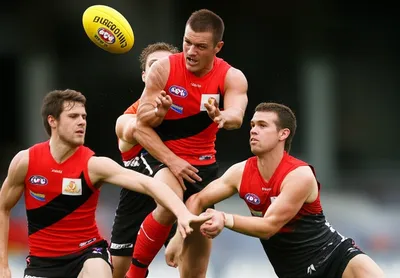 Hình ảnh minh họa follower - Ảnh 2