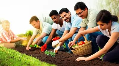 Illustration soc - Image 1