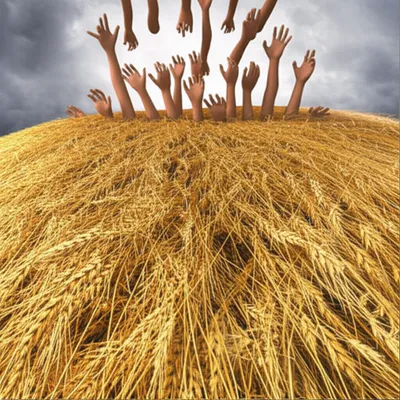 Hình ảnh minh họa engrosses - Ảnh 1