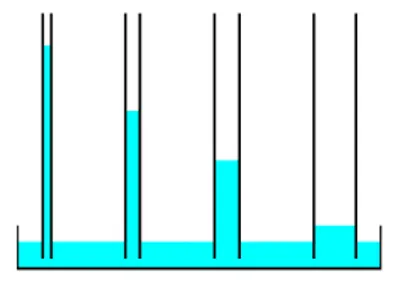 Hình ảnh minh họa wick - Ảnh 2