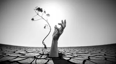 Illustration worse - Image 1