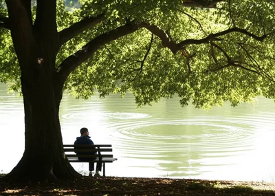 Illustration muses - Image 1