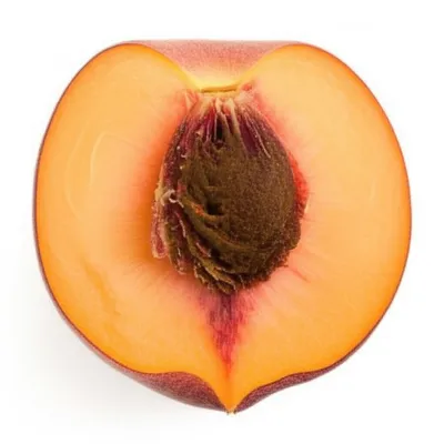 Illustration kernel - Image 1