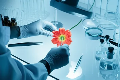 Illustration clinically - Image 1