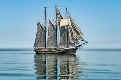 Illustration slugs - Image 1