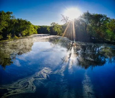 Illustration backwaters - Image 2