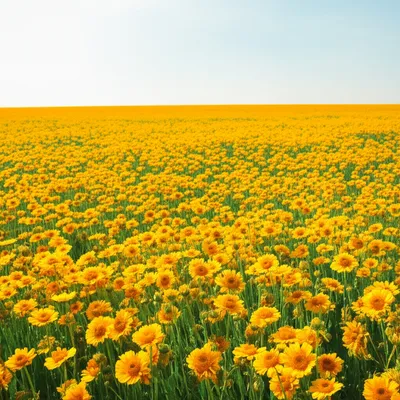 Illustration large - Image 1