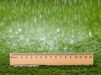 Illustration inches - Image 1