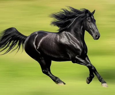 Illustration spankers - Image 1