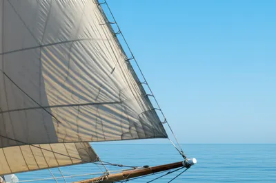 Illustration leeches - Image 1