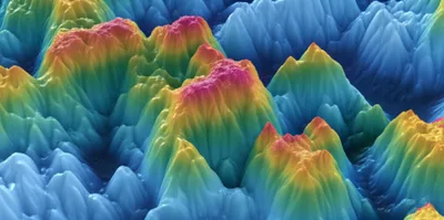 Illustration octave - Image 1