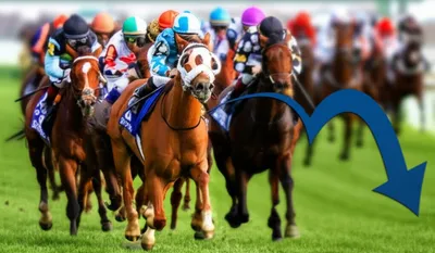 Illustration bar - Image 1