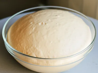 Illustration yeasts - Image 1