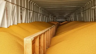 Illustration pouch - Image 1