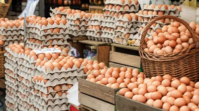 Illustration dozens - Image 1