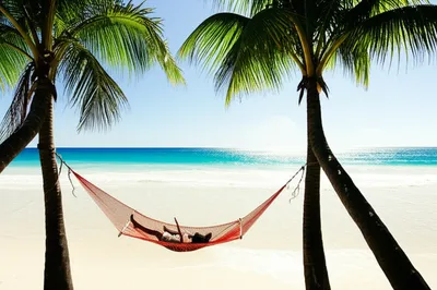 Illustration relaxes - Image 1