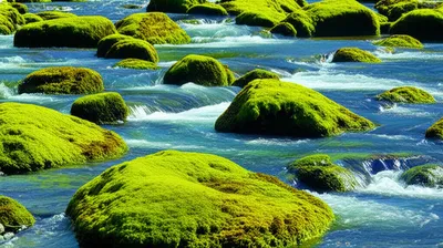 Illustration smoother - Image 2