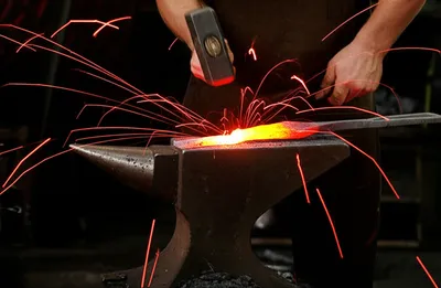 Illustration penes - Image 1