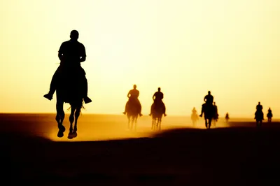 Illustration bridge - Image 1