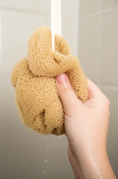 Illustration loofah - Image 1