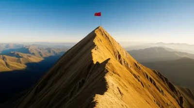 Illustration signal - Image 1