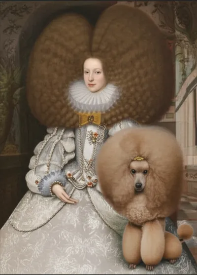 Illustration bouffant