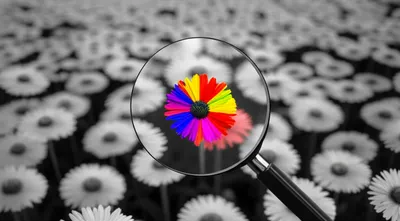 Illustration minding - Image 1