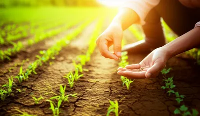 Illustration reformers - Image 1