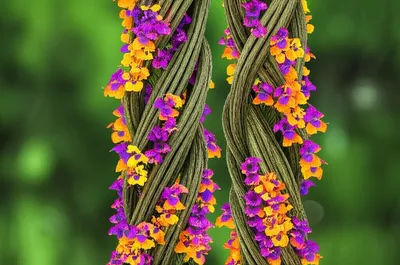 Illustration hitch - Image 1