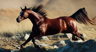 Illustration ramp - Image 1